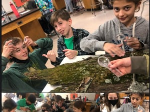 6th Grade Lichens- FB Post